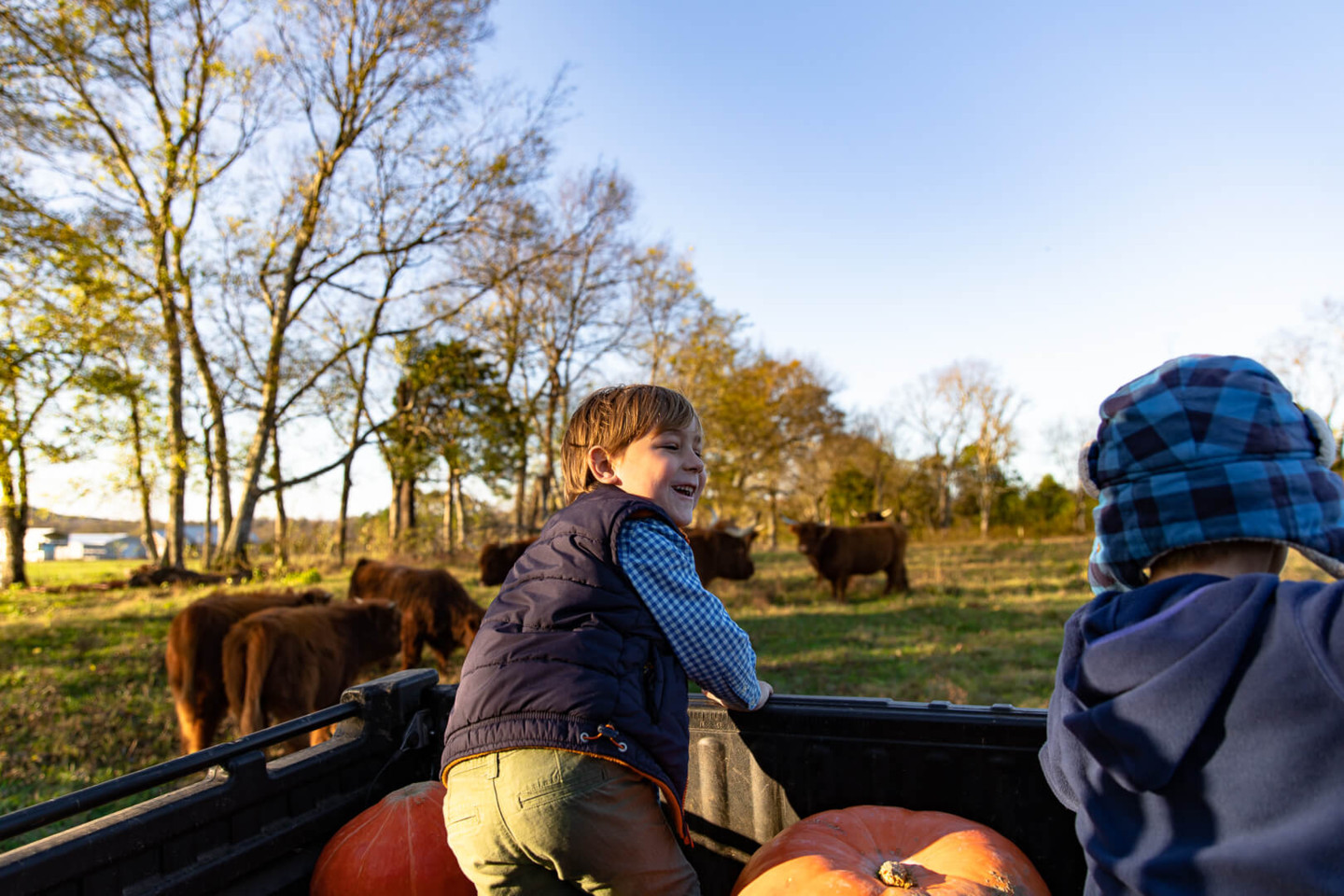We are a 3rd, 4th, and 5th generation farm.